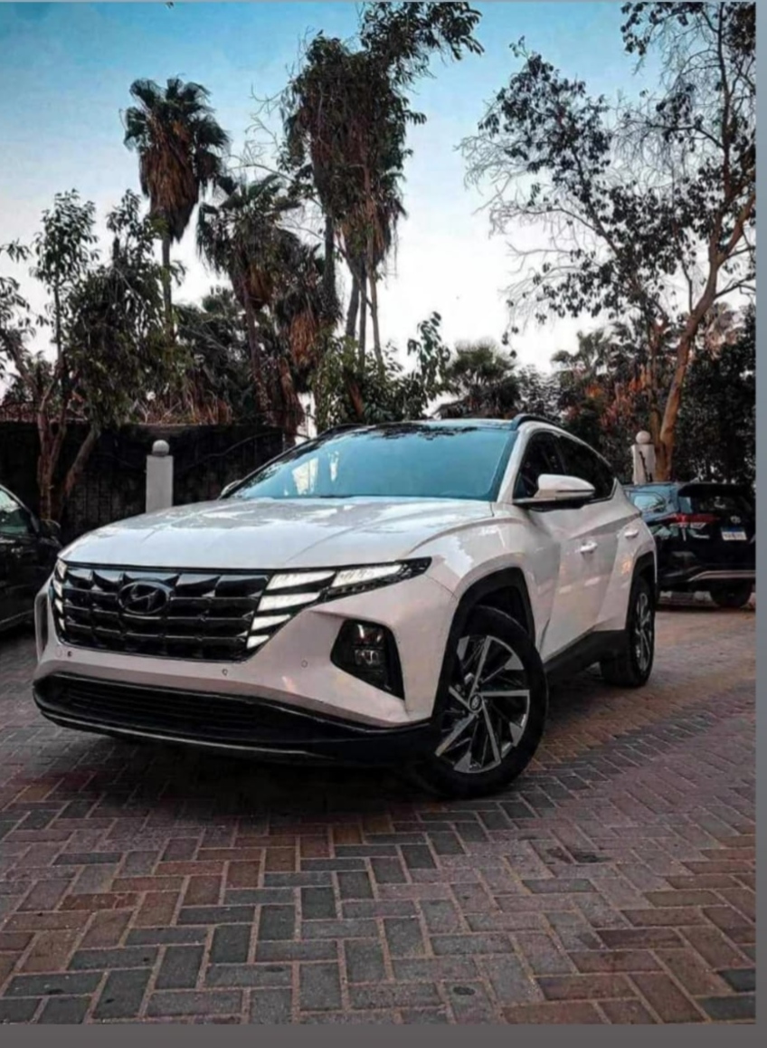 SUV Thumbnail 3