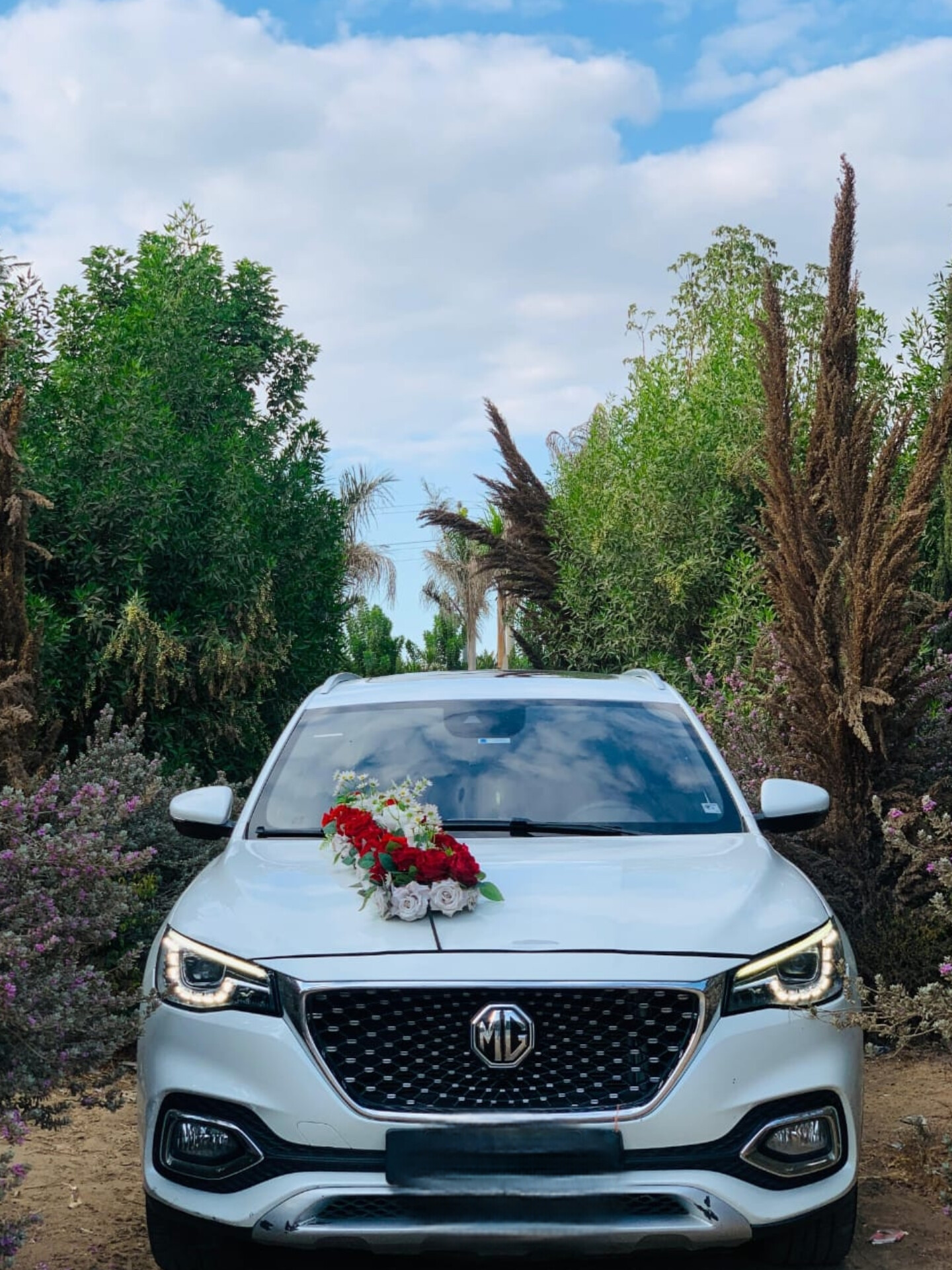 Wedding Cars Thumbnail 7