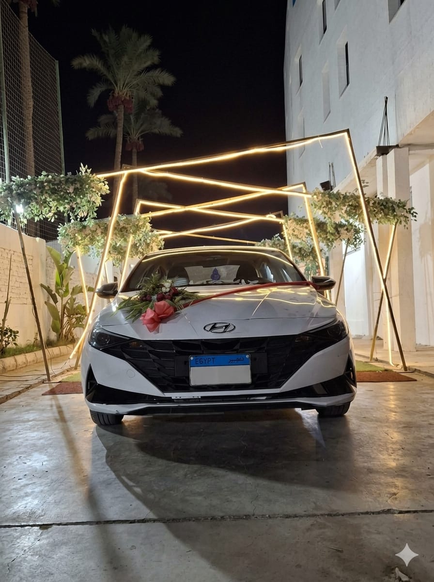 Wedding Cars Thumbnail 21