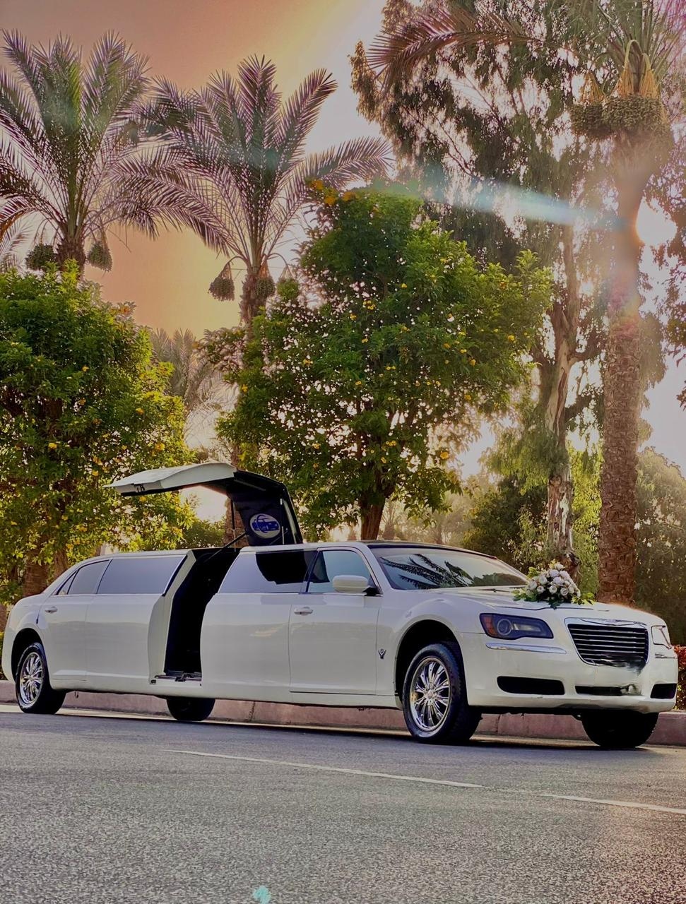 Wedding Cars Thumbnail 24
