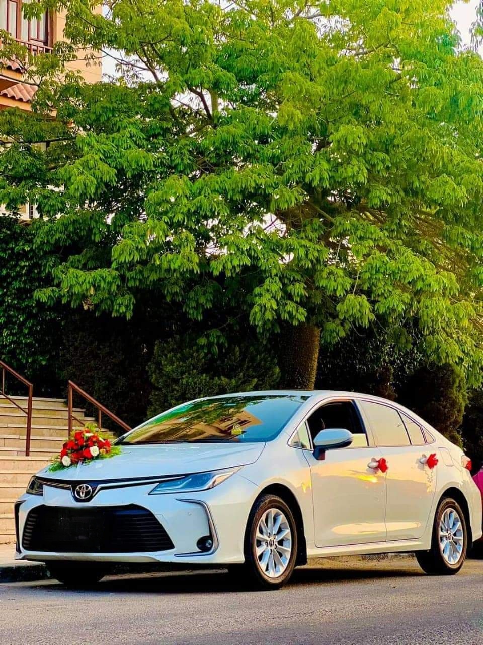 Wedding Cars Thumbnail 27
