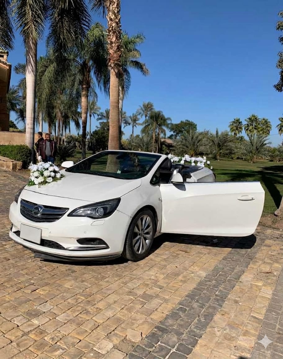 Wedding Cars Thumbnail 31