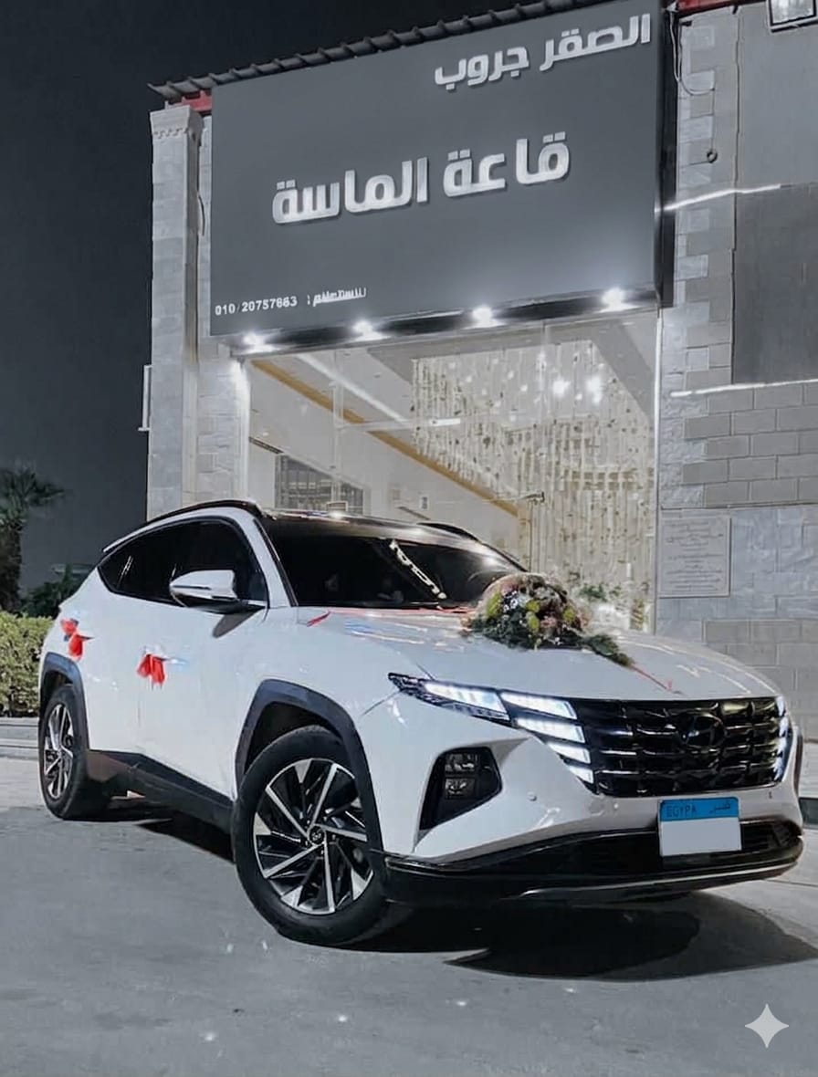 Wedding Cars Thumbnail 32