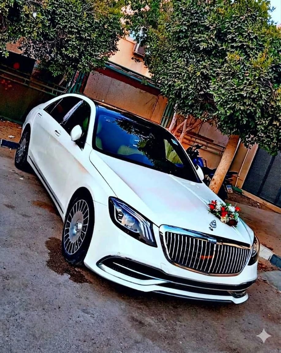 Wedding Cars Thumbnail 36