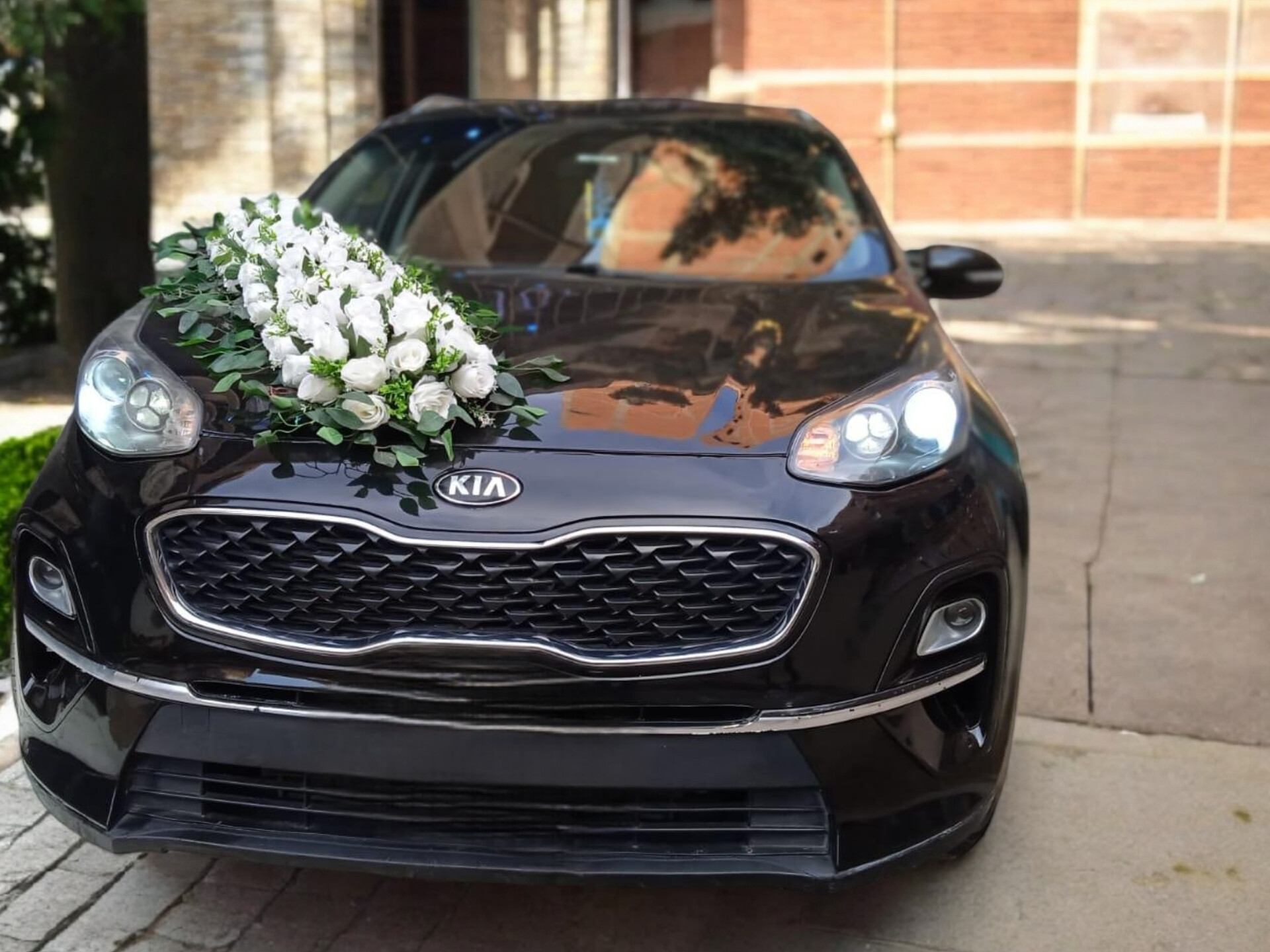 Wedding Cars Thumbnail 49