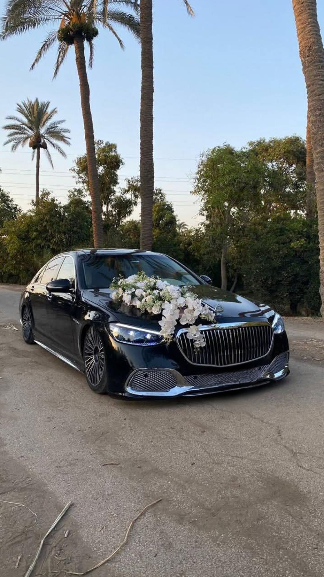 Wedding Cars Thumbnail 54