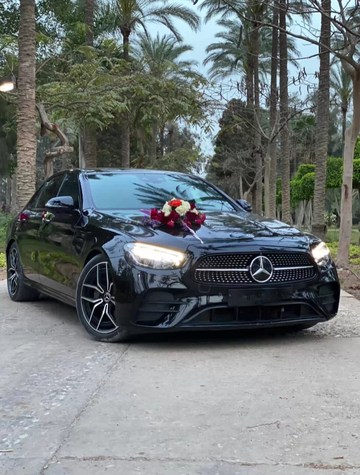 Wedding Cars Thumbnail 59