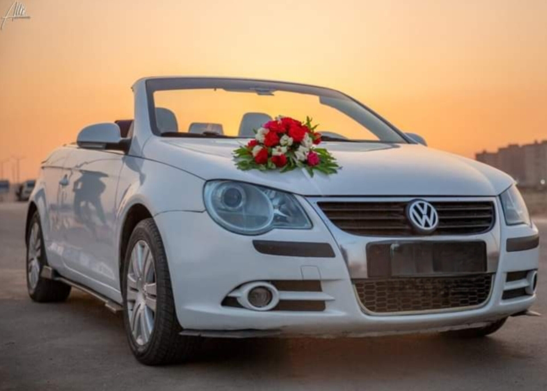 Wedding Cars Thumbnail 61