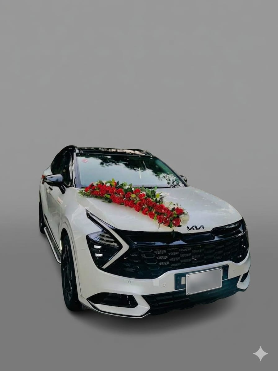 Wedding Cars Thumbnail 73