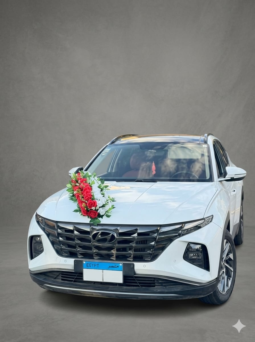 Wedding Cars Thumbnail 74