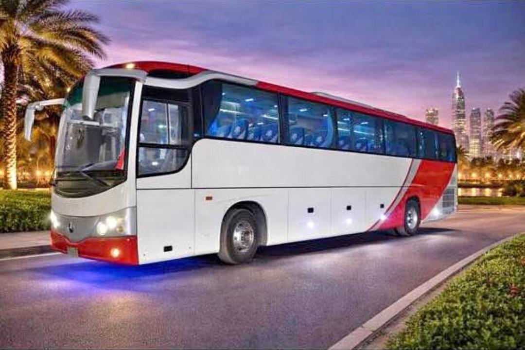 Buses Thumbnail 11